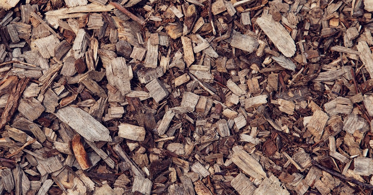 Sciure de bois pour le jardin les bienfaits du paillage