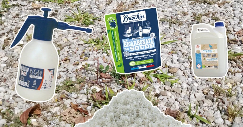 Comment fabriquer un désherbant naturel et bio pour enlever les