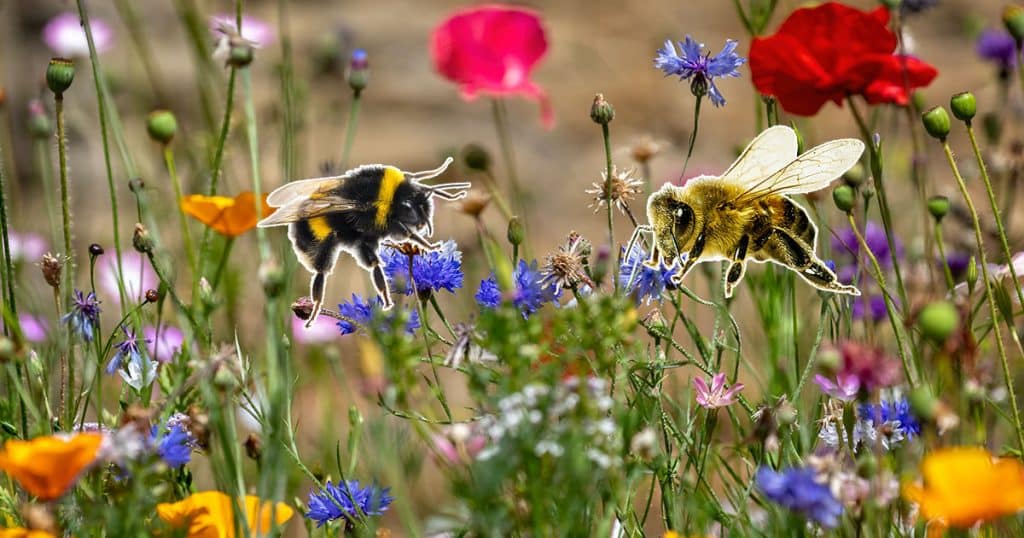 Étui à Chéquier Fleurs Et Abeilles En Simili Cuir - Avec Porte-monnaie Et Porte-stylo