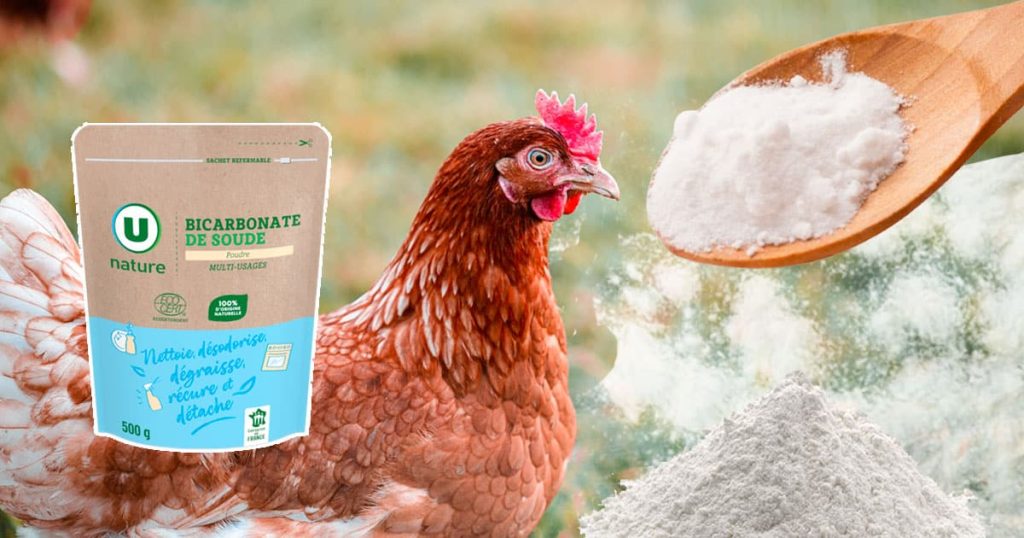 Comment éliminer les poux rouges avec du bicarbonate de soude